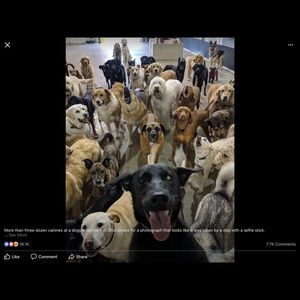 Meet your Posher, Arrandondo